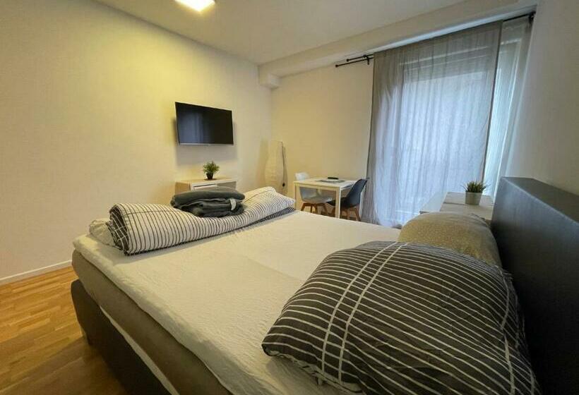 پانسیون Simplex Apartments Am Ludwigsplatz