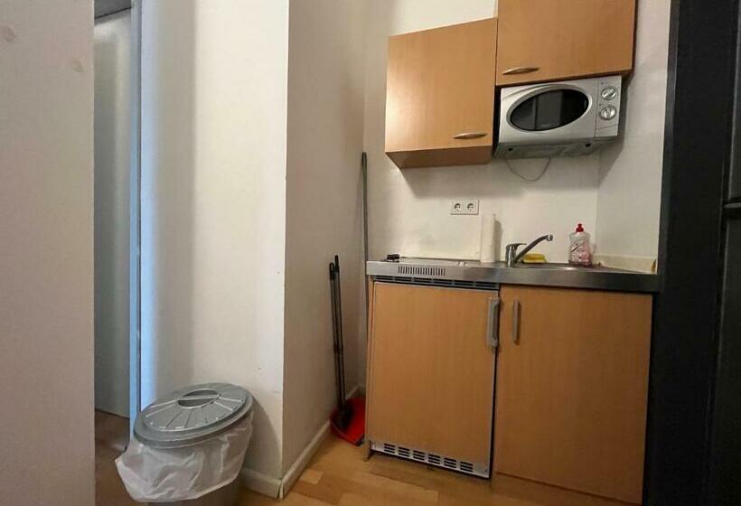 پانسیون Simplex Apartments Am Ludwigsplatz