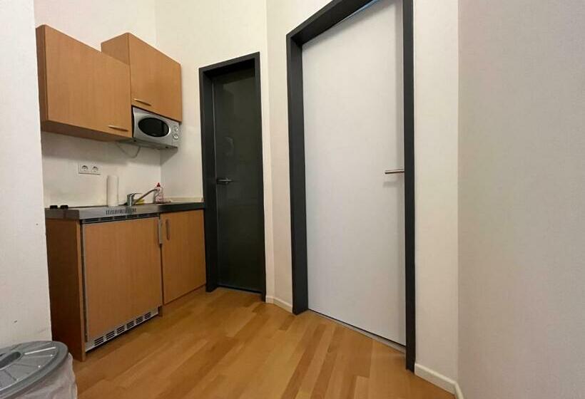 پانسیون Simplex Apartments Am Ludwigsplatz