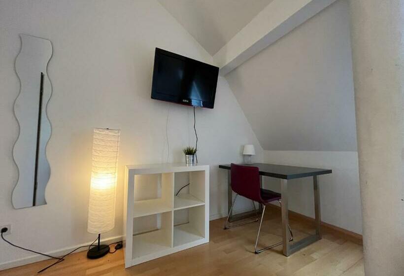 پانسیون Simplex Apartments Am Ludwigsplatz