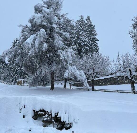 Studio Rue De Jardin