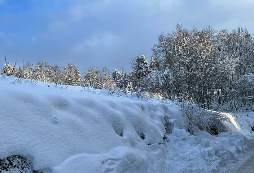 Studio Rue De Jardin