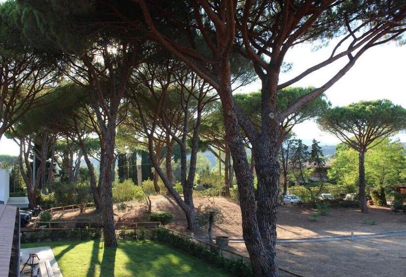 فندق Tennis Rocchette Resort