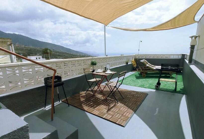 Live Arafo Las Palmeras Con Gran Terraza