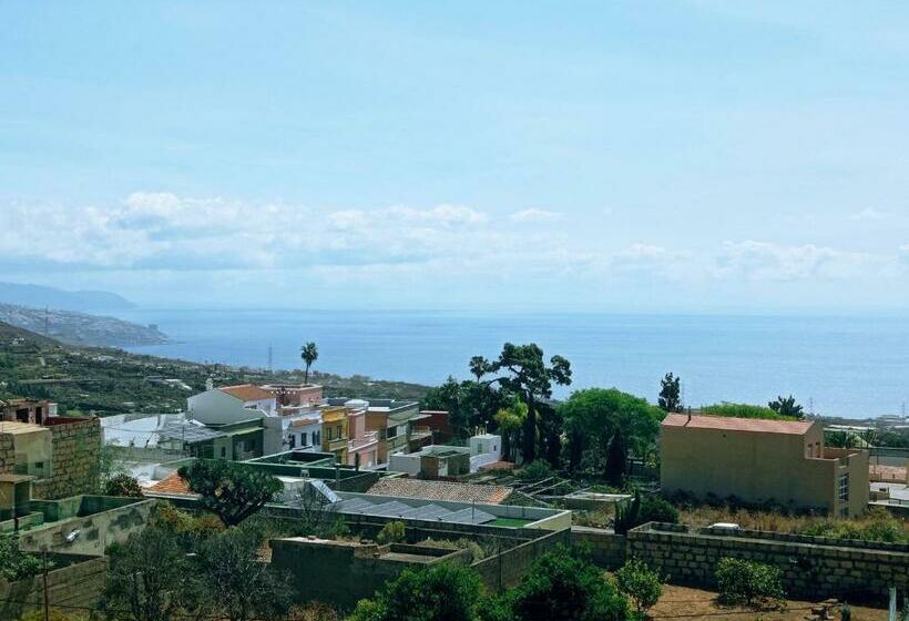 Live Arafo Las Palmeras Con Gran Terraza