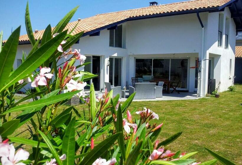 Maison Saint Jean De Luz, 6 Pièces, 8 Personnes   Fr 1 239 837