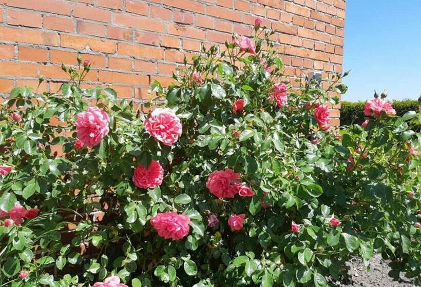 Monteurzimmer Ausma Wymeer Bunde   Fewo Vakantiehuis Heerenland