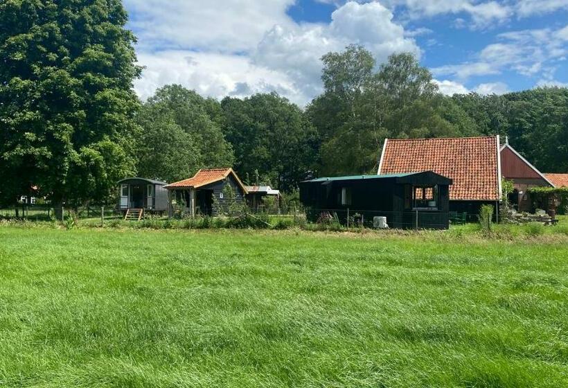 Tiny House, Pipowagen Onder De Kastanje