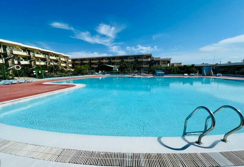 Sunlight Apartment In Costa De Antigua