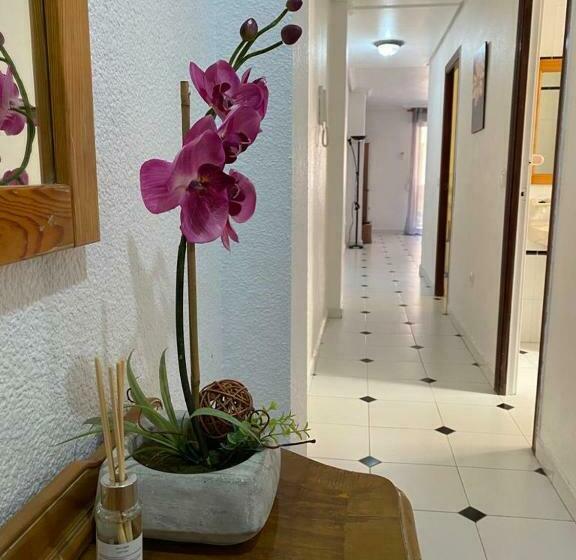 просторная квартира рядом с морем в хорошем районе