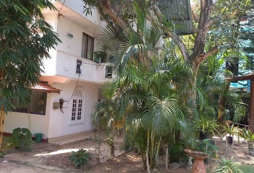 호스텔 Shady Transit