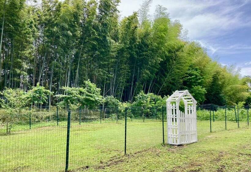 Hiruzen Cottage Gray   Vacation Stay 11158v