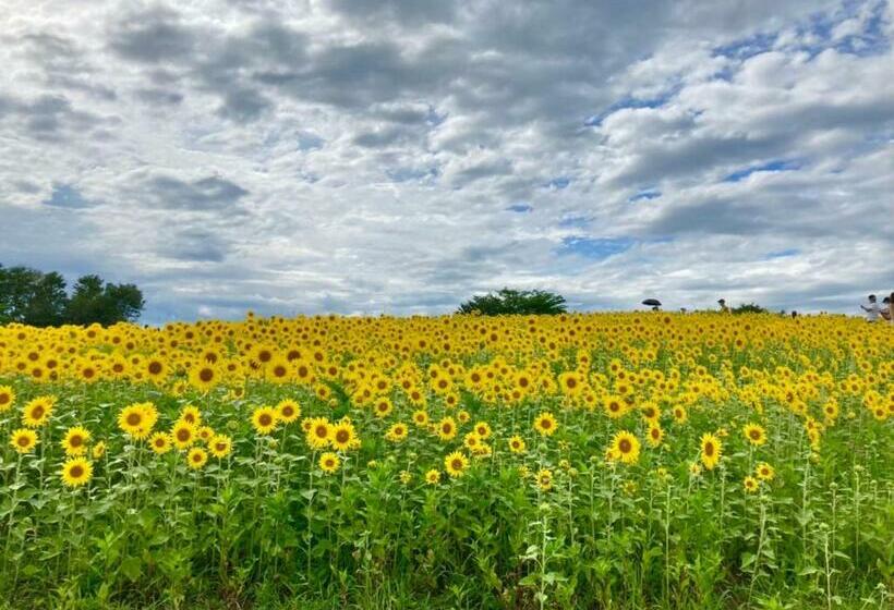 Hiruzen Cottage Gray   Vacation Stay 11158v