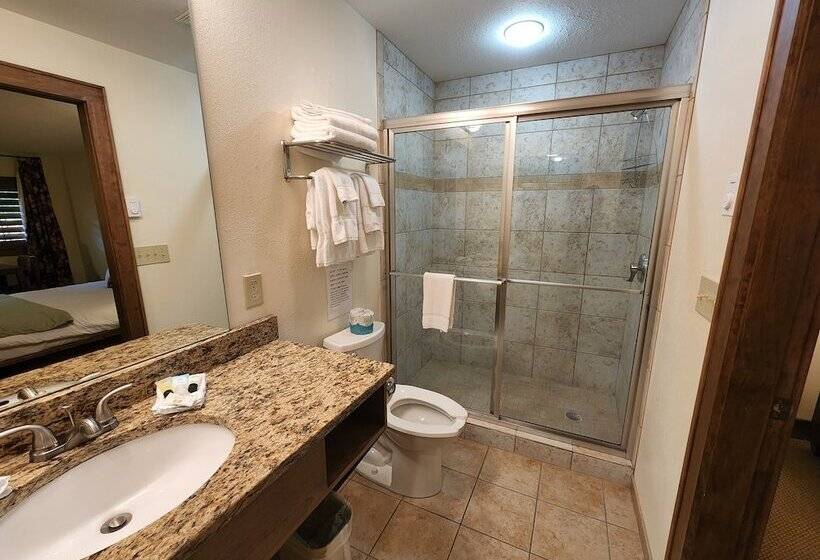 Отель The Inn At Shady Lawn