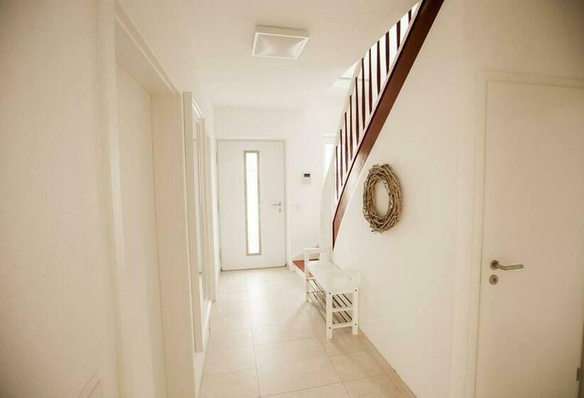 Bonquartier   House   Garden   Forest   Top Road Connection