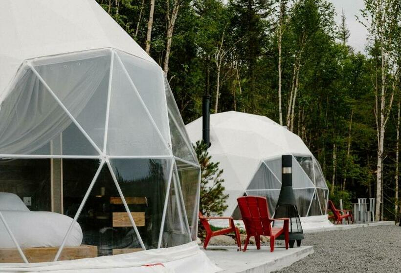 Les Diamants De L éternel