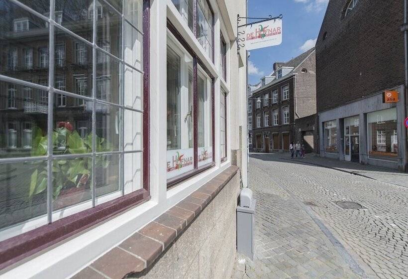 B&b De Hofnar Maastricht