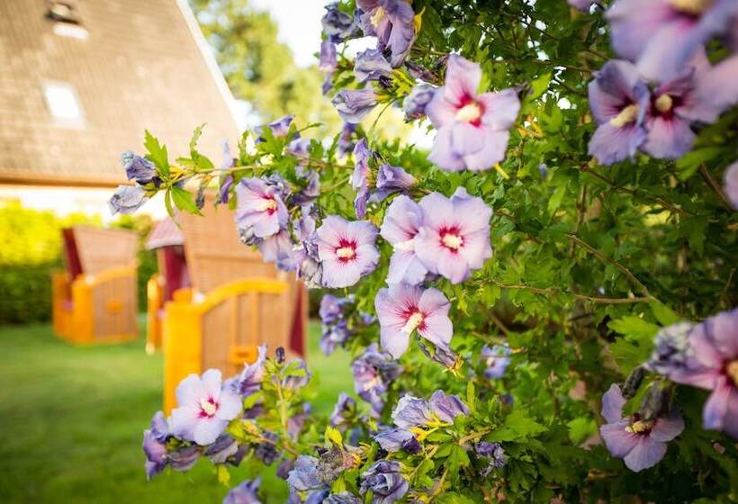 ベッドアンドブレックファースト Das Kleine Glück   Adults Only