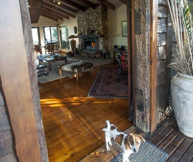 Elephant Hide Of Knysna Guest Lodge