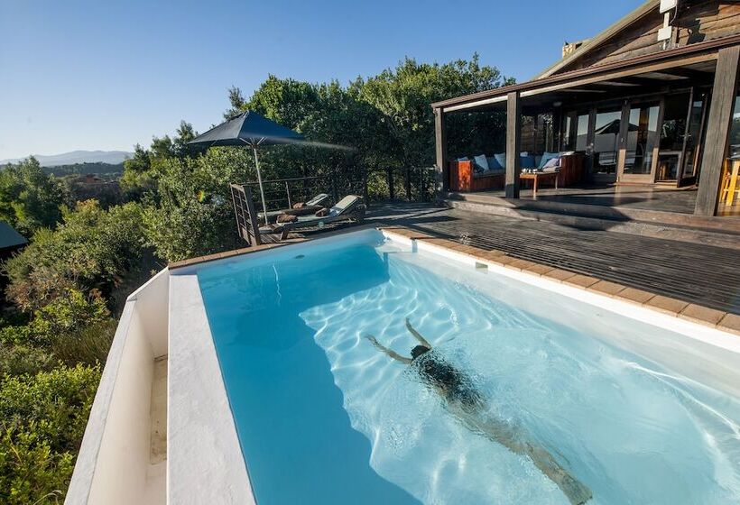 Elephant Hide Of Knysna Guest Lodge