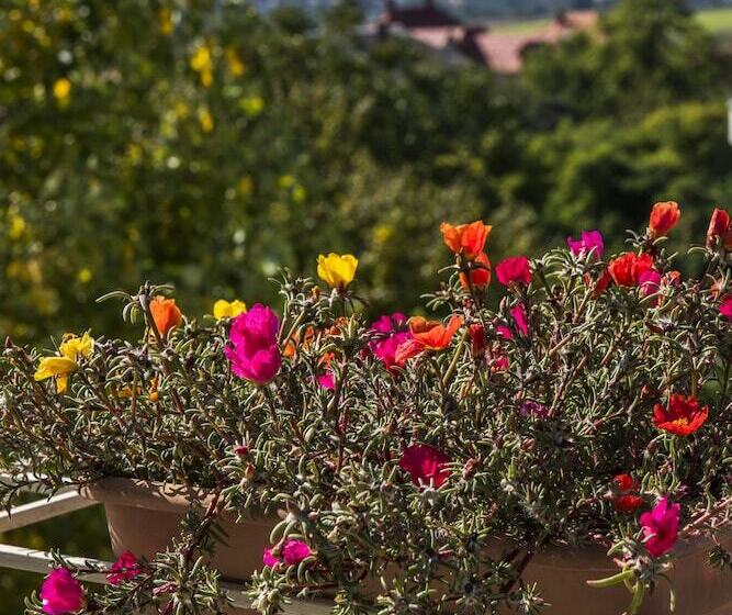 Feng Shui Wellness Apartmanház Hévíz
