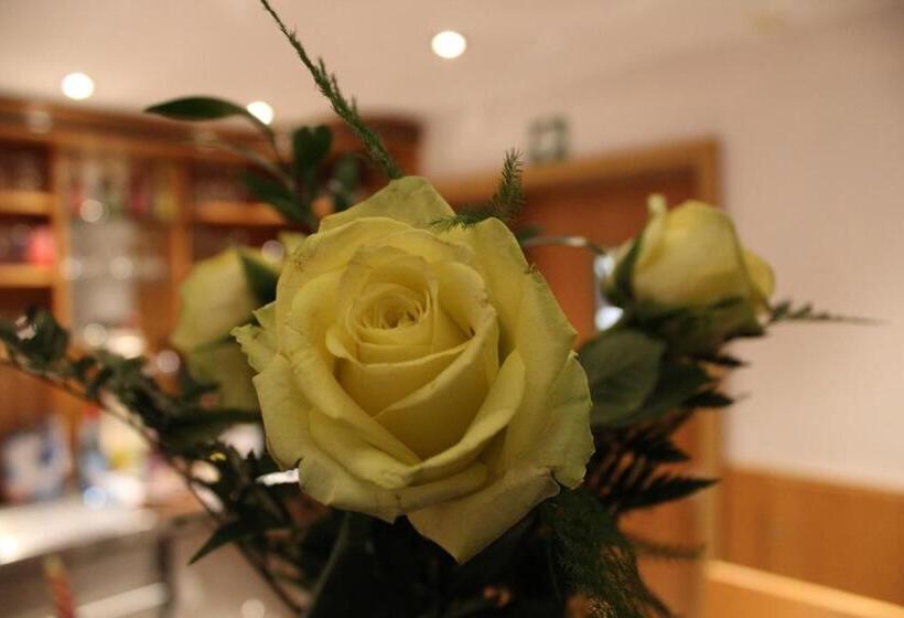 فندق Albena   Garni