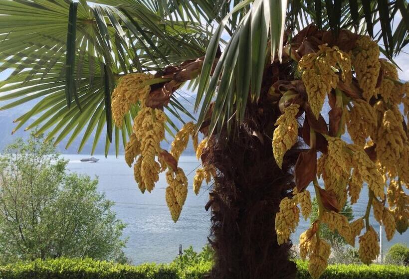 Отель Albergo Villa Edera