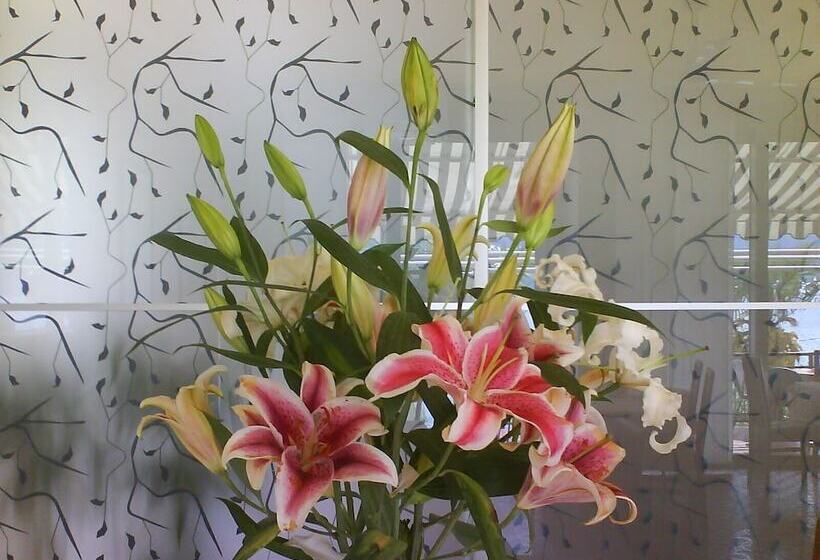 Отель Albergo Villa Edera