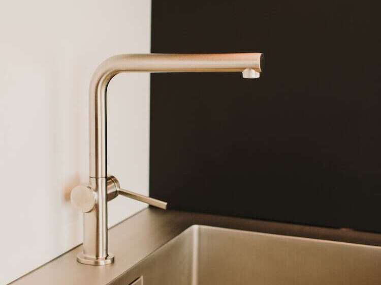 فندق Alpin   Studios & Suites