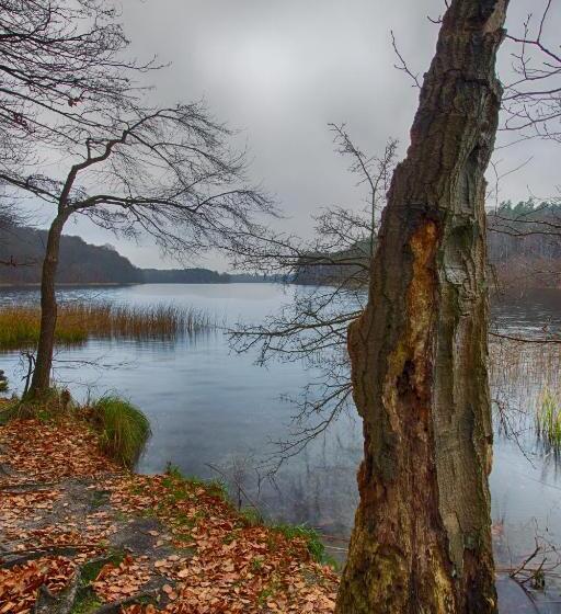 ホテル Am Liepnitzsee