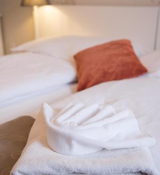 Отель Astoria Panzió