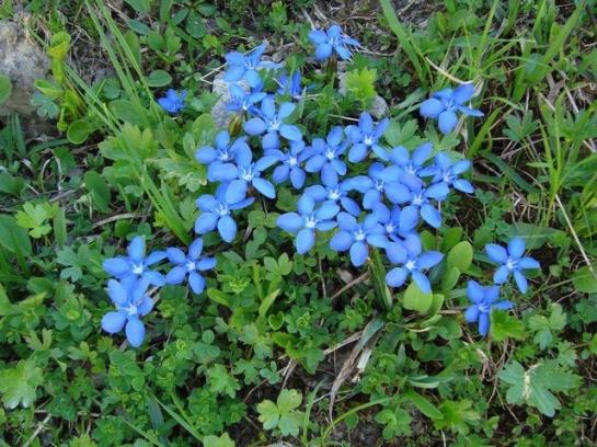 Ferienbauernhof Beer
