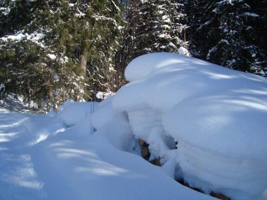 Ferienbauernhof Beer