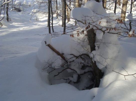 Ferienbauernhof Beer