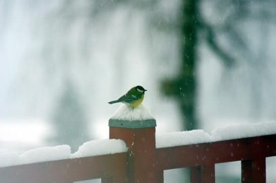 Ferienbauernhof Beer
