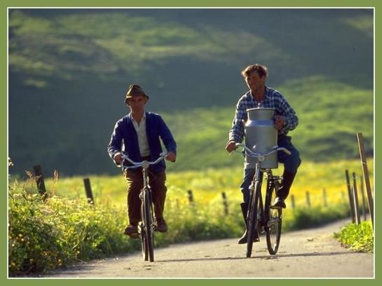 Bauernhof Madlener Claudia