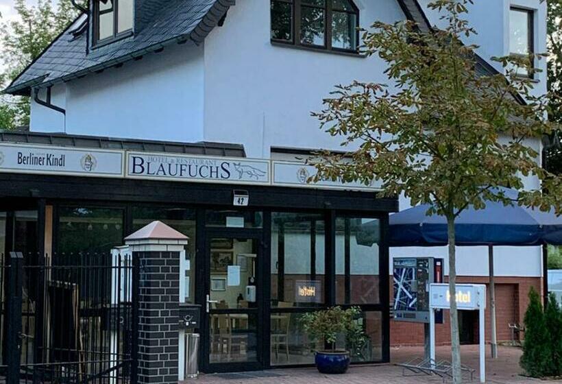 Отель Blaufuchs