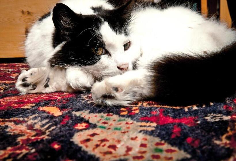 فندق Brighton House