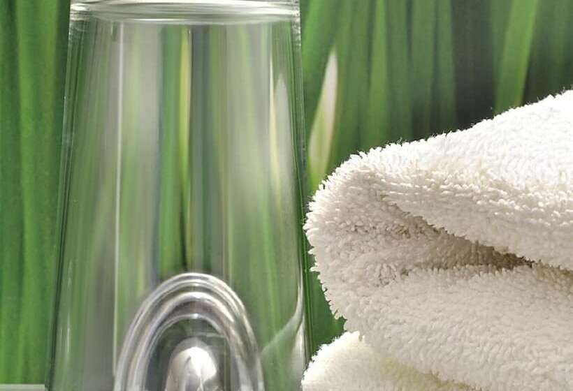 בית מלון כפרי Centra