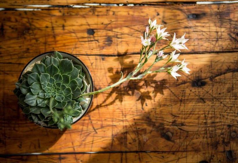 Отель Das Kubatzki