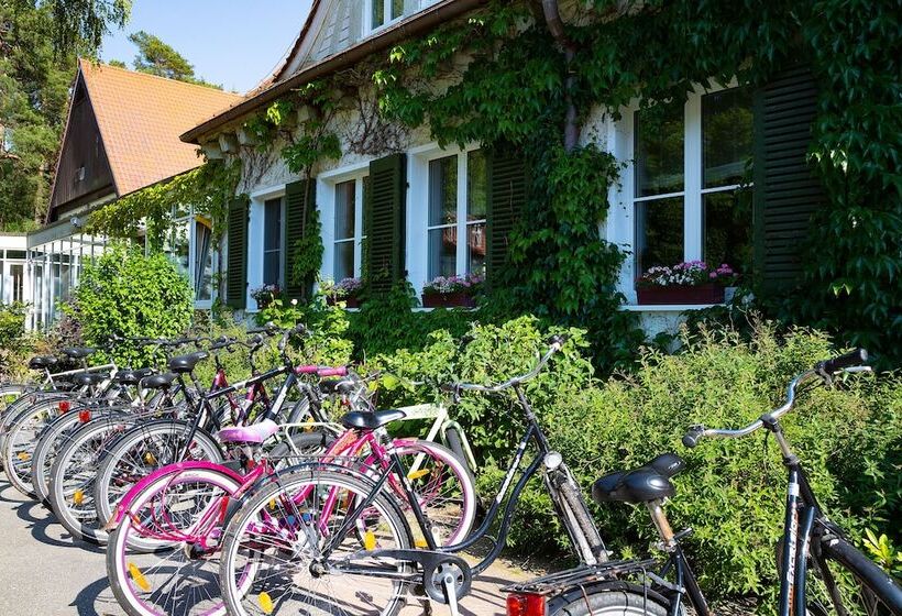 酒店 Döllnsee Schorfheide