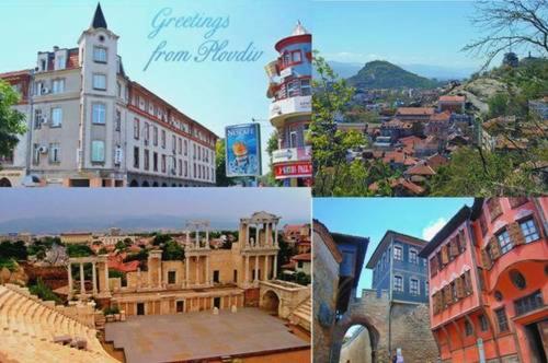 호텔 Guest House Elit