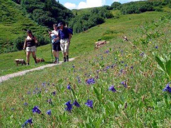 Отель Erlebnisreich Natter