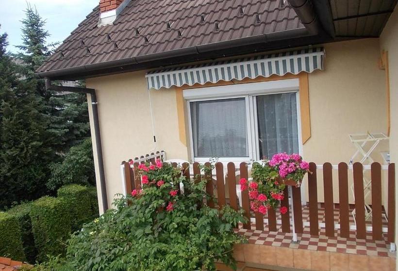 酒店 Judit Vendégház