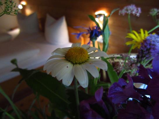 Garni Appartementhaus Rätikon