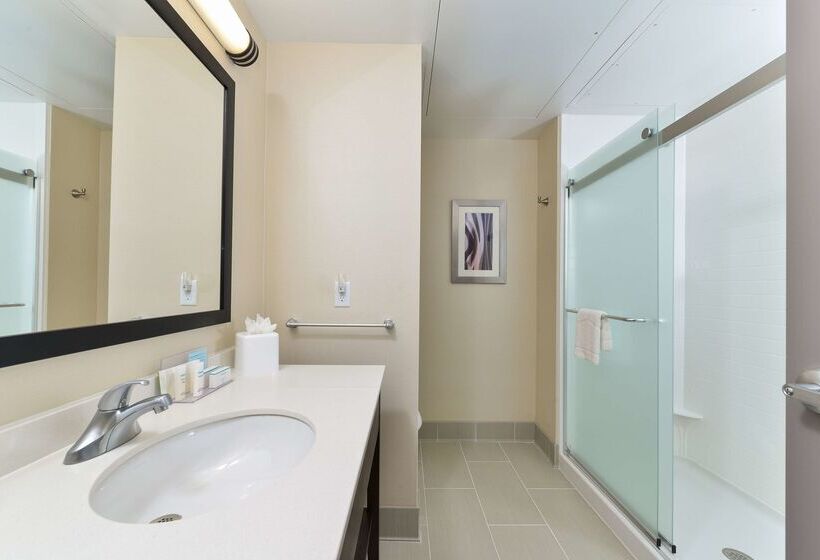 酒店 Hampton Inn & Suites Des Moines Downtown