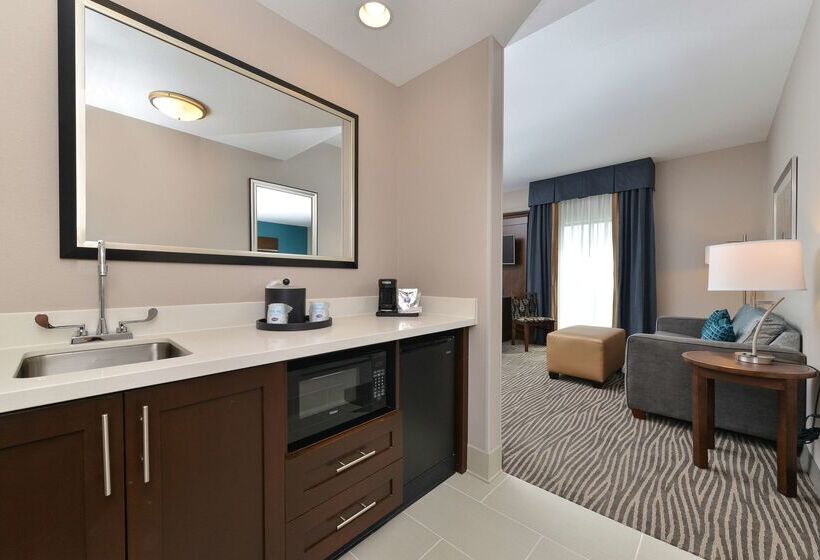 هتل Hampton Inn & Suites Des Moines Downtown