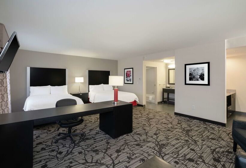 فندق Hampton Inn & Suites Roanoke Airport