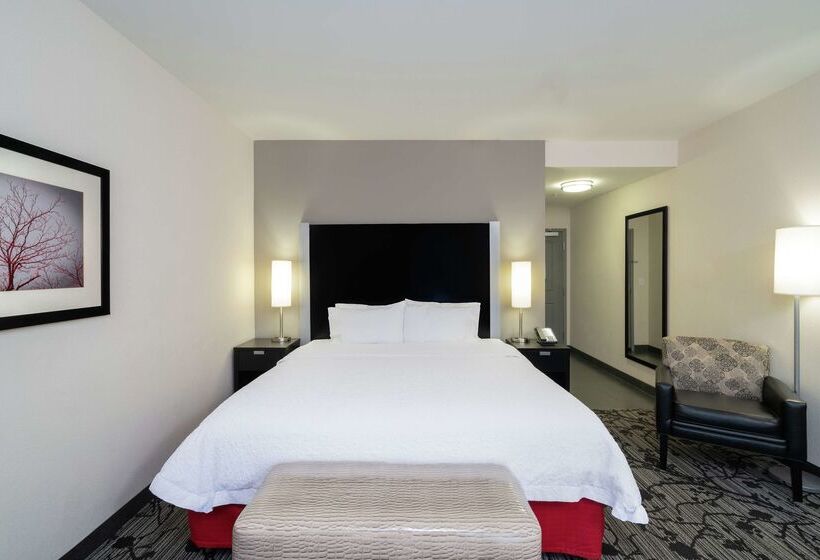 فندق Hampton Inn & Suites Roanoke Airport