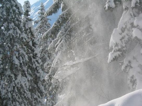 Отель Haus Kristall